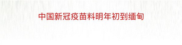 中国新冠疫苗料明年初到缅甸