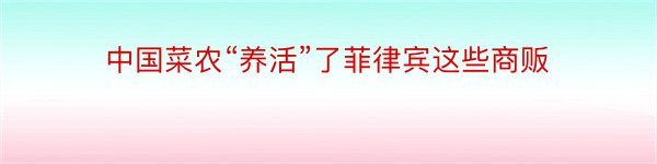 中国菜农“养活”了菲律宾这些商贩