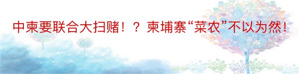 中柬要联合大扫赌！？柬埔寨“菜农”不以为然！