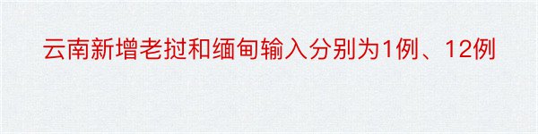 云南新增老挝和缅甸输入分别为1例、12例