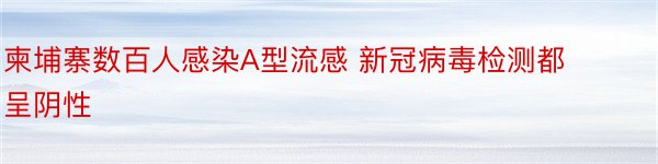 柬埔寨数百人感染A型流感 新冠病毒检测都呈阴性