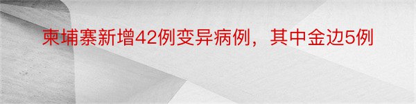 柬埔寨新增42例变异病例，其中金边5例