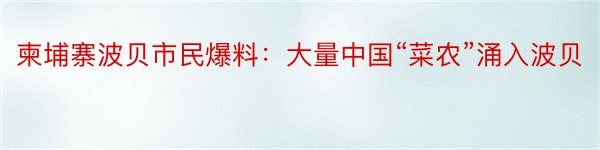 柬埔寨波贝市民爆料：大量中国“菜农”涌入波贝