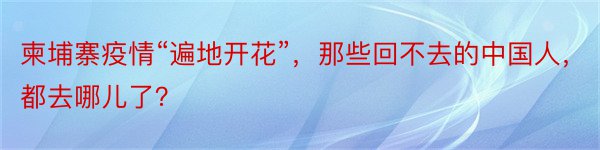 柬埔寨疫情“遍地开花”，那些回不去的中国人，都去哪儿了？