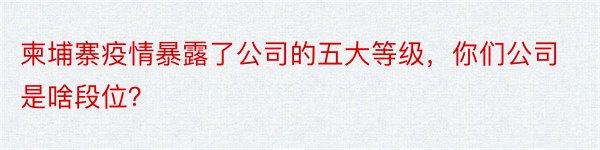 柬埔寨疫情暴露了公司的五大等级，你们公司是啥段位？