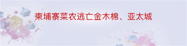 柬埔寨菜农逃亡金木棉、亚太城