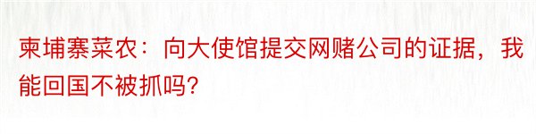 柬埔寨菜农：向大使馆提交网赌公司的证据，我能回国不被抓吗？