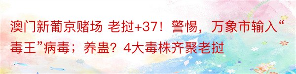 澳门新葡京赌场 老挝+37！警惕，万象市输入“毒王”病毒；养蛊？4大毒株齐聚老挝