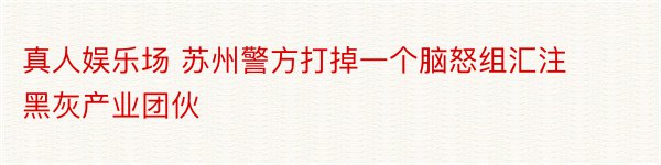 真人娱乐场 苏州警方打掉一个脑怒组汇注黑灰产业团伙