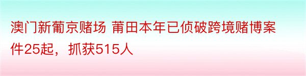 澳门新葡京赌场 莆田本年已侦破跨境赌博案件25起，抓获515人