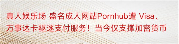 真人娱乐场 盛名成人网站Pornhub遭 Visa、万事达卡驱逐支付服务！当今仅支撑加密货币