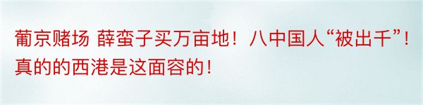 葡京赌场 薛蛮子买万亩地！八中国人“被出千”！真的的西港是这面容的！