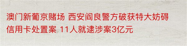 澳门新葡京赌场 西安阎良警方破获特大妨碍信用卡处置案 11人就逮涉案3亿元