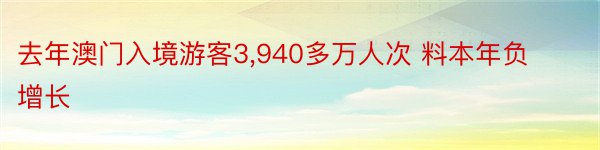 去年澳门入境游客3,940多万人次 料本年负增长