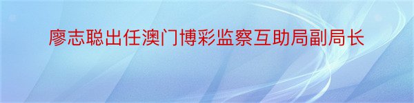 廖志聪出任澳门博彩监察互助局副局长