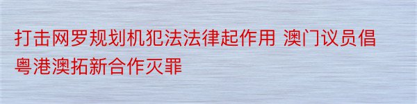 打击网罗规划机犯法法律起作用 澳门议员倡粤港澳拓新合作灭罪