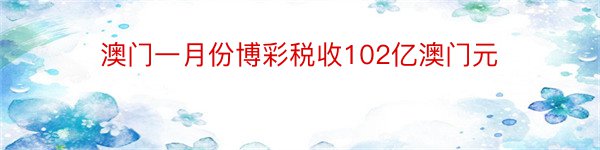 澳门一月份博彩税收102亿澳门元