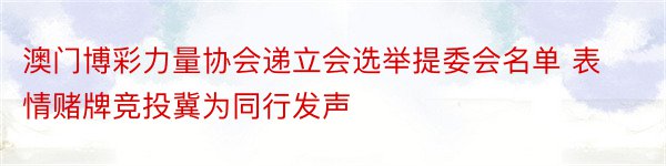 澳门博彩力量协会递立会选举提委会名单 表情赌牌竞投冀为同行发声