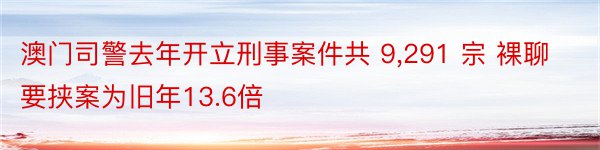 澳门司警去年开立刑事案件共 9,291 宗 裸聊要挟案为旧年13.6倍