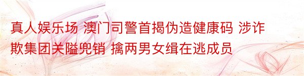 真人娱乐场 澳门司警首揭伪造健康码 涉诈欺集团关隘兜销 擒两男女缉在逃成员