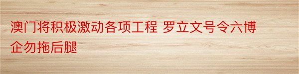 澳门将积极激动各项工程 罗立文号令六博企勿拖后腿