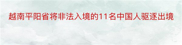 越南平阳省将非法入境的11名中国人驱逐出境