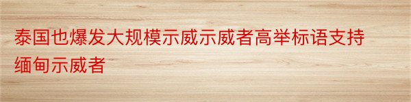 泰国也爆发大规模示威示威者高举标语支持缅甸示威者