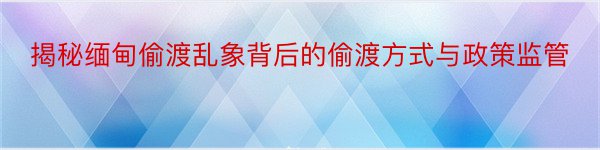 揭秘缅甸偷渡乱象背后的偷渡方式与政策监管