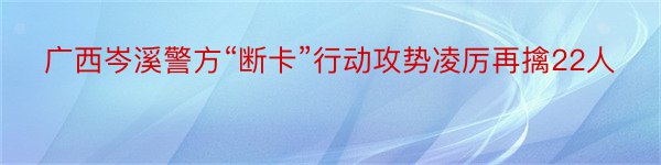 广西岑溪警方“断卡”行动攻势凌厉再擒22人