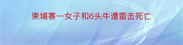 柬埔寨一女子和6头牛遭雷击死亡