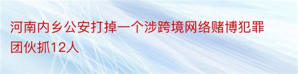 河南内乡公安打掉一个涉跨境网络赌博犯罪团伙抓12人