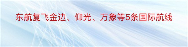 东航复飞金边、仰光、万象等5条国际航线