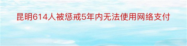 昆明614人被惩戒5年内无法使用网络支付