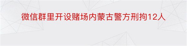 微信群里开设赌场内蒙古警方刑拘12人