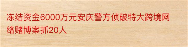 冻结资金6000万元安庆警方侦破特大跨境网络赌博案抓20人