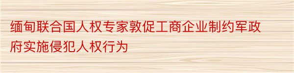 缅甸联合国人权专家敦促工商企业制约军政府实施侵犯人权行为