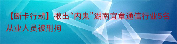 【断卡行动】揪出“内鬼”湖南宜章通信行业5名从业人员被刑拘