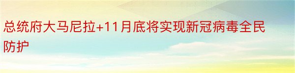 总统府大马尼拉+11月底将实现新冠病毒全民防护