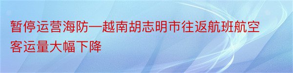 暂停运营海防—越南胡志明市往返航班航空客运量大幅下降