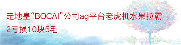 走地皇“BOCAI”公司ag平台老虎机水果拉霸2亏损10块5毛