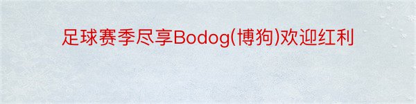 足球赛季尽享Bodog(博狗)欢迎红利