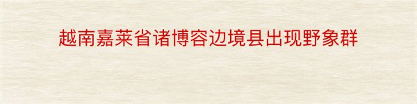 越南嘉莱省诸博容边境县出现野象群