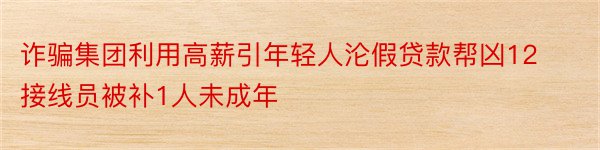 诈骗集团利用高薪引年轻人沦假贷款帮凶12接线员被补1人未成年