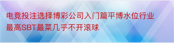 电竞投注选择博彩公司入门篇平博水位行业最高SBT最菜几乎不开滚球