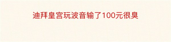 迪拜皇宫玩波音输了100元很臭