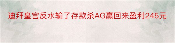 迪拜皇宫反水输了存款杀AG赢回来盈利245元