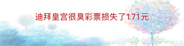 迪拜皇宫很臭彩票损失了171元